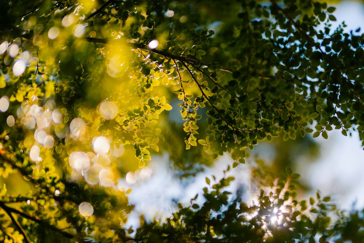 To-Do List hero banner